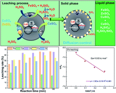 Graphical abstract: Leaching of iron from copper tailings by sulfuric acid: behavior, kinetics and mechanism