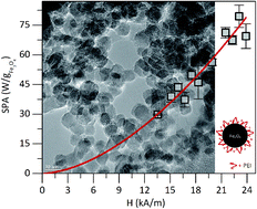 Graphical abstract: One-step synthesis of polyethyleneimine-coated magnetite nanoparticles and their structural, magnetic and power absorption study