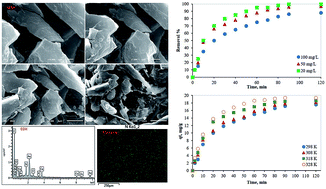 Graphical abstract: Removal of mercury from polluted water by a novel composite of polymer carbon nanofiber: kinetic, isotherm, and thermodynamic studies