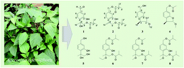 Graphical abstract: Thymol derivatives with antibacterial and cytotoxic activity from the aerial parts of Ageratina adenophora
