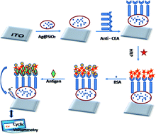 Graphical abstract: A robust electrochemical immunosensor based on core–shell nanostructured silica-coated silver for cancer (carcinoembryonic-antigen-CEA) diagnosis