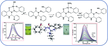 Graphical abstract: A novel dihydro phenylquinazolinone-based two-in-one colourimetric chemosensor for nickel(ii), copper(ii) and its copper complex for the fluorescent colourimetric nanomolar detection of the cyanide anion