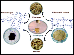 Graphical abstract: Extraction of lignin and quantitative sugar release from biomass using efficient and cost-effective pyridinium protic ionic liquids