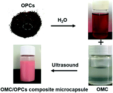 Graphical abstract: Simple, green, ultrasound-assisted preparation of novel core–shell microcapsules from octyl methoxycinnamate and oligomeric proanthocyanidins for UV-stable sunscreen