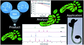 Graphical abstract: Use of ammonium salts or binary mixtures derived from amino acids, glycine betaine, choline and indole-3-butyric acid as plant regulators