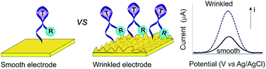 Graphical abstract: A wrinkled structure of gold film greatly improves the signaling of electrochemical aptamer-based biosensors