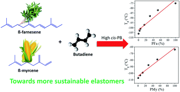 Graphical abstract: Introducing random bio-terpene segments to high cis-polybutadiene: making elastomeric materials more sustainable