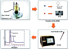 Graphical abstract: Cobalt metal–organic framework-based ZIF-67 for the trace determination of herbicide molinate by ion mobility spectrometry: investigation of different morphologies