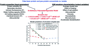 Graphical abstract: Prediction of emulsification behaviour of pea and faba bean protein concentrates and isolates from structure–functionality analysis