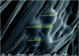 Graphical abstract: Microencapsulation of lime (Citrus aurantifolia) oil for antibacterial finishing of cotton fabric