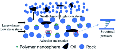 Graphical abstract: Research on the mechanisms of polyacrylamide nanospheres with different size distributions in enhanced oil recovery