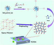 Graphical abstract: Endowing magnesium with the corrosion-resistance property through cross-linking polymerized inorganic sol–gel coating