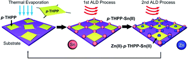 Graphical abstract: Selective coordination with heterogeneous metal atoms for inorganic–organic hybrid layers