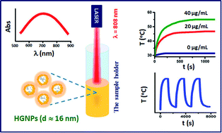 Graphical abstract: Optical properties and stability of small hollow gold nanoparticles