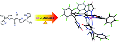 Graphical abstract: The synthesis and characterization of the octahedral CoIII complex of a pyrrolopyrrolizine derivative formed with dicyanovinylene-bis-(meso-aryl)dipyrrin