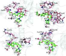 Graphical abstract: Binding selectivity of inhibitors toward the first over the second bromodomain of BRD4: theoretical insights from free energy calculations and multiple short molecular dynamics simulations