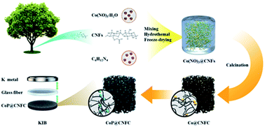 Graphical abstract: Achieving the robust immobilization of CoP nanoparticles in cellulose nanofiber network-derived carbon via chemical bonding for a stable potassium ion storage