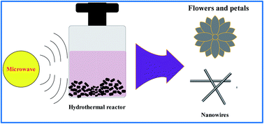 Graphical abstract: In situ microwave-assisted solvothermal synthesis via morphological transformation of ZnCo2O4 3D nanoflowers and nanopetals to 1D nanowires for hybrid supercapacitors