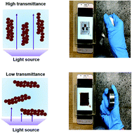 Graphical abstract: Manipulation of light transmission from stable magnetic microrods formed by the alignment of magnetic nanoparticles