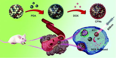 Graphical abstract: A new pH/NIR responsive theranostic agent for magnetic resonance imaging guided synergistic therapy