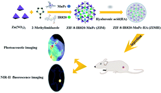 Graphical abstract: Design of ZIF-based hybrid nanoparticles with hyaluronic acid-augmented ROS behavior for dual-modality PA/NIR-II FL imaging
