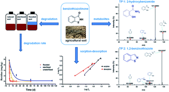 Graphical abstract: Dissipation and sorption–desorption of benzisothiazolinone in agricultural soils and identification of its metabolites