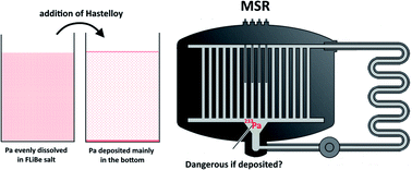 Graphical abstract: Distribution and behaviour of 233Pa in 2LiF–BeF2 molten salt