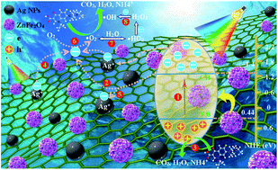 Graphical abstract: Three-dimensional graphene encapsulated Ag–ZnFe2O4 flower-like nanocomposites with enhanced photocatalytic degradation of enrofloxacin