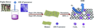 Graphical abstract: Electrocatalytic oxygen reduction by a Co/Co3O4@N-doped carbon composite material derived from the pyrolysis of ZIF-67/poplar flowers