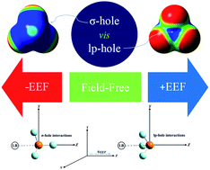 Graphical abstract: External electric field effects on the σ-hole and lone-pair hole interactions of group V elements: a comparative investigation