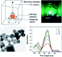 Graphical abstract: Exploring the optical limiting, photocatalytic and antibacterial properties of the BiFeO3–NaNbO3 nanocomposite system