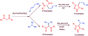 Graphical abstract: Monoallylation and benzylation of dicarbonyl compounds with alcohols catalysed by a cationic cobalt(iii) compound