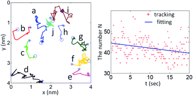 Graphical abstract: Dynamic observation and motion tracking of individual gold atoms with HAADF-STEM imaging