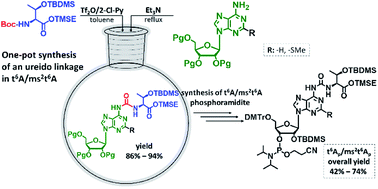 Graphical abstract: Efficient access to 3′-O-phosphoramidite derivatives of tRNA related N6-threonylcarbamoyladenosine (t6A) and 2-methylthio-N6-threonylcarbamoyladenosine (ms2t6A)