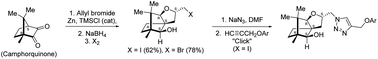 Graphical abstract: Studies in the rearrangement reactions involving camphorquinone