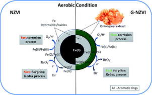 Graphical abstract: The enhanced reduction of bromate by highly reactive and dispersive green nano-zerovalent iron (G-NZVI) synthesized with onion peel extract