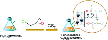 Graphical abstract: Recovery of lanthanum cations by functionalized magnetic multi-walled carbon nanotube bundles