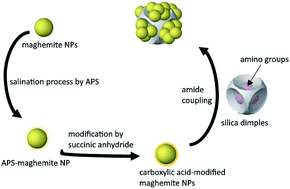 Graphical abstract: Dimpled SiO2@γ-Fe2O3 nanocomposites – fabrication and use for arsenic adsorption in aqueous medium