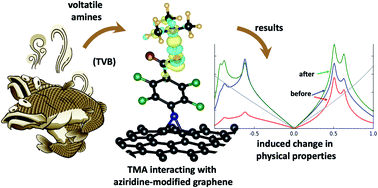 Graphical abstract: Pristine graphene covalent functionalization with aromatic aziridines and their application in the sensing of volatile amines – an ab initio investigation