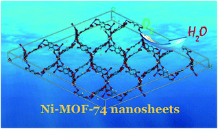 Graphical abstract: A template-directed synthesis of metal–organic framework (MOF-74) ultrathin nanosheets for oxygen reduction electrocatalysis