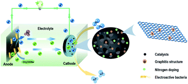 Graphical abstract: One-step preparation of eggplant-derived hierarchical porous graphitic biochar as efficient oxygen reduction catalyst in microbial fuel cells