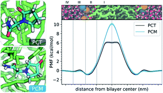 Graphical abstract: The importance of intramolecular hydrogen bonds on the translocation of the small drug piracetam through a lipid bilayer