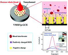 Graphical abstract: Rapid and sensitive determination of doxorubicin in human whole blood by vertically-ordered mesoporous silica film modified electrochemically pretreated glassy carbon electrodes