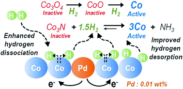 Graphical abstract: Improved H2 utilization by Pd doping in cobalt catalysts for reductive amination of polypropylene glycol