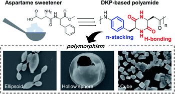 Graphical abstract: Synthesis and solvent-controlled self-assembly of diketopiperazine-based polyamides from aspartame