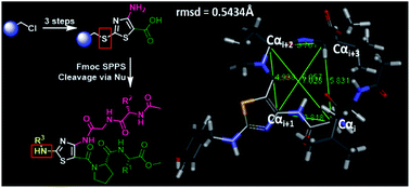 Graphical abstract: Traceless solid-phase synthesis and β-turn propensity of 1,3-thiazole-based peptidomimetics