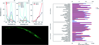 Graphical abstract: Physiological effect of colloidal carbon quantum dots on Bursaphelenchus xylophilus