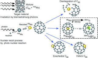 Graphical abstract: Creation of Mo/Tc@C60 and Au@C60 and molecular-dynamics simulations