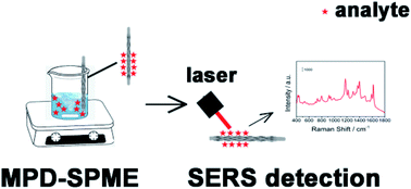 Graphical abstract: Mechanical power driven SPME-SERS ultra-fast detection of illegal additives in aquaculture water