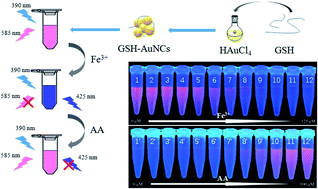 Graphical abstract: Dual-emission ratio fluorescence for selective and sensitive detection of ferric ions and ascorbic acid based on one-pot synthesis of glutathione protected gold nanoclusters